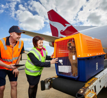 bring-your-pet-to-australia-1